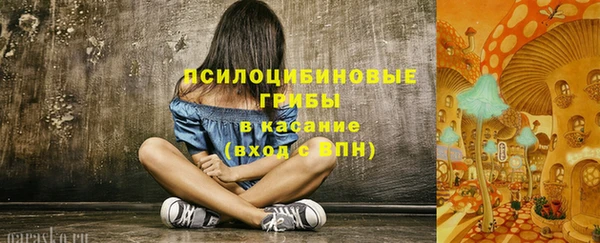 дурь Алексеевка