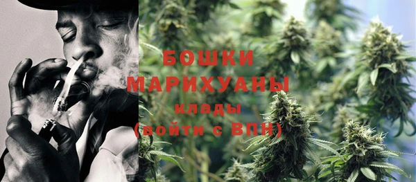 ГАЛЛЮЦИНОГЕННЫЕ ГРИБЫ Михайловск