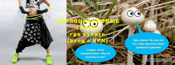 синтетический гашиш Алексин